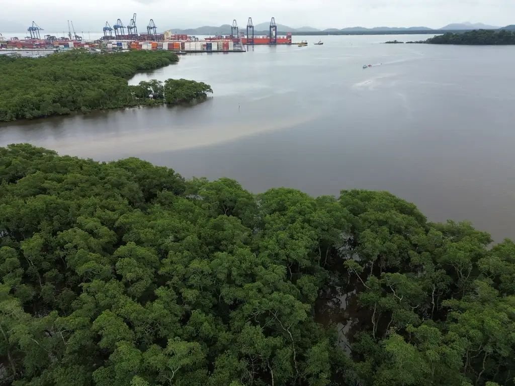 Foto de área de Reserva da Mata Atlântica com o Porto de Paranaguá ao fundo