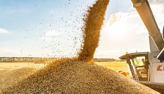 As Cédulas de Produto Rural com liquidação física são “pagas” com o próprio produto